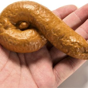 Poo Prop- Realistic Feels AND Smells Real.