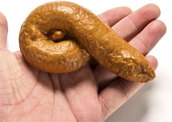 Poo Prop- Realistic Feels AND Smells Real.