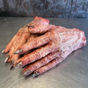 Pair of Severed Witch hands