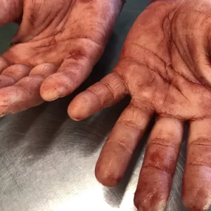 Pair of Male Hands
