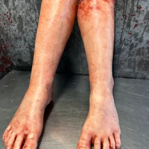 Pair of Severed Legs