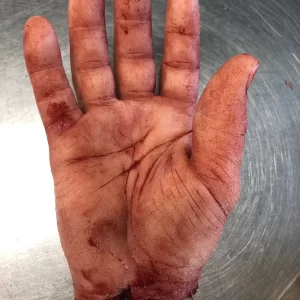 Severed Male Hand