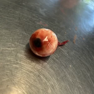Silicone Eyeball