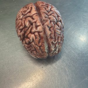 Silicone Brain